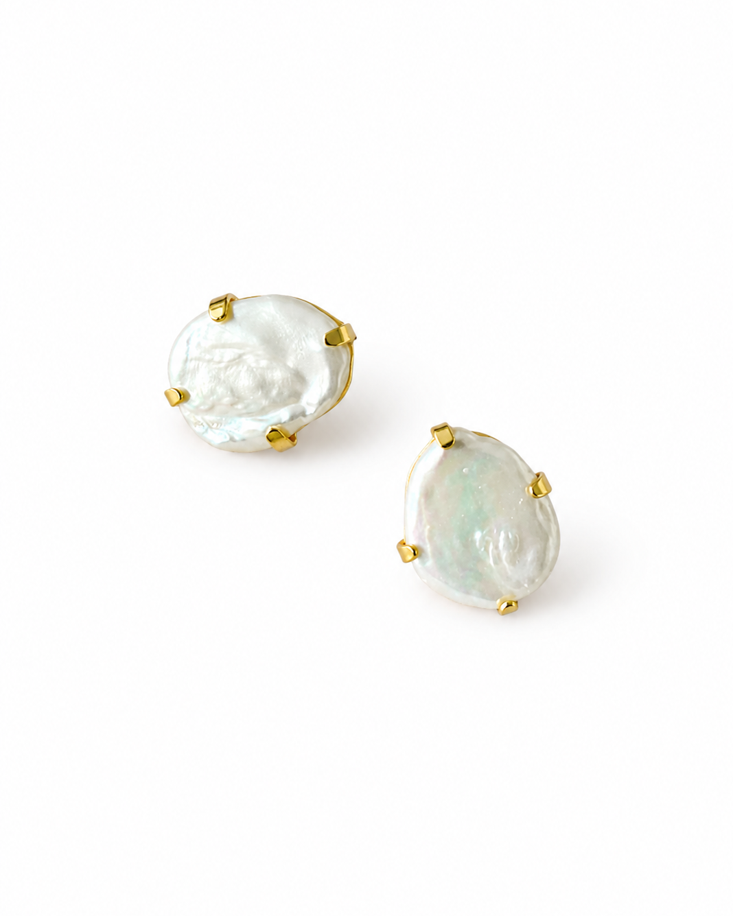 ARETES ALOCASIA