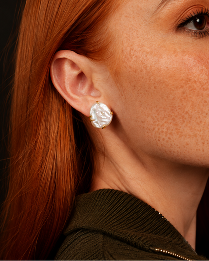 ARETES ALOCASIA