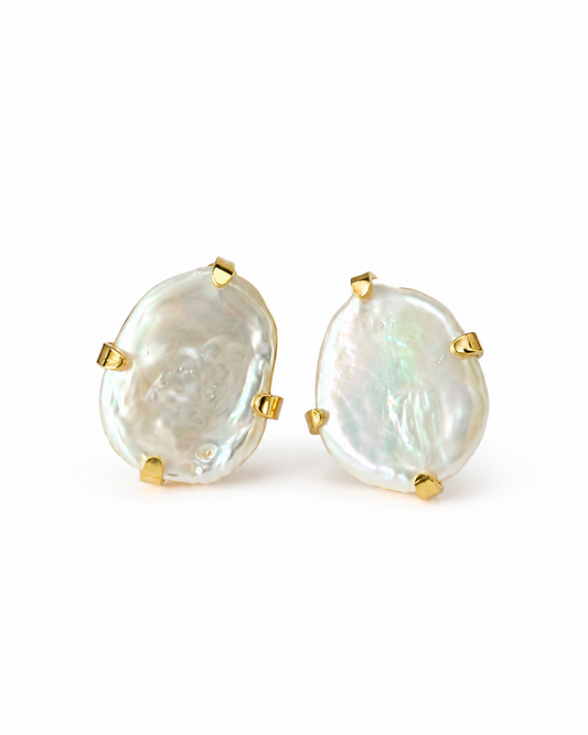 ARETES ALOCASIA
